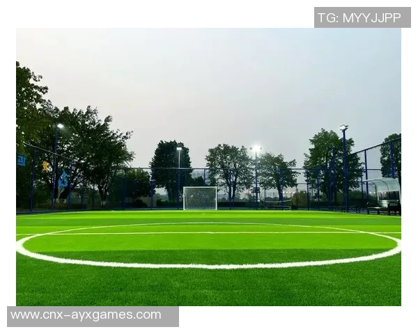 小型足球场的魅力与发展潜力探讨及其对社区体育文化的影响
